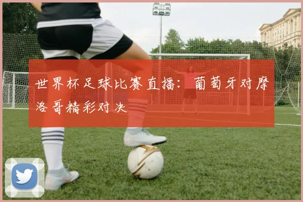 世界杯足球比赛直播：葡萄牙对摩洛哥精彩对决