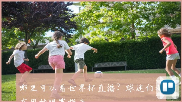 哪里可以看世界杯直播？球迷们都在用的观赛指南