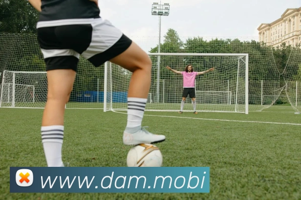 开云综合app官网登录平台生态图