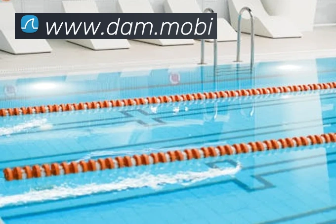 开云综合app官网登录全站App